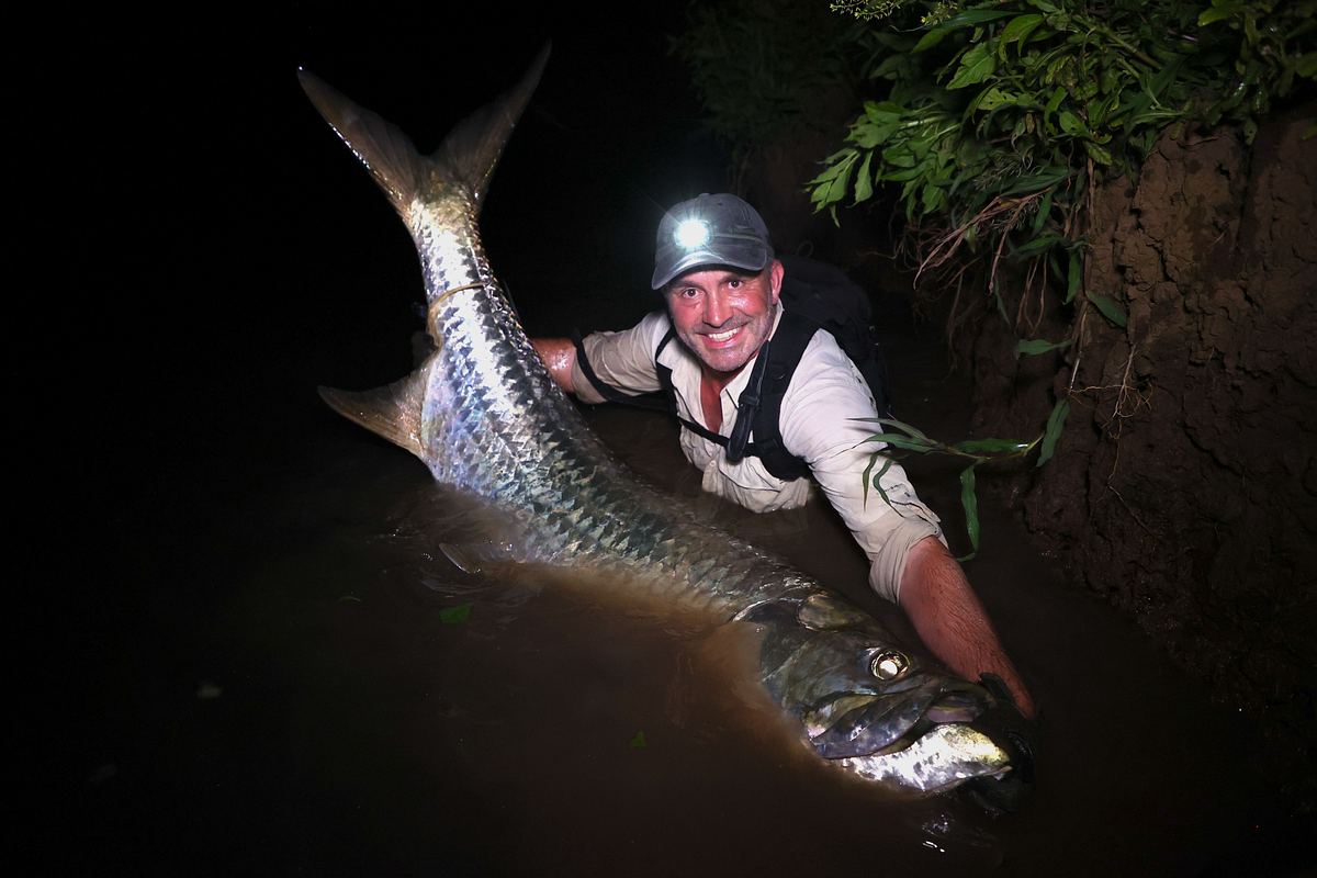 giganten unter wasser - riesenfischen auf der spur
