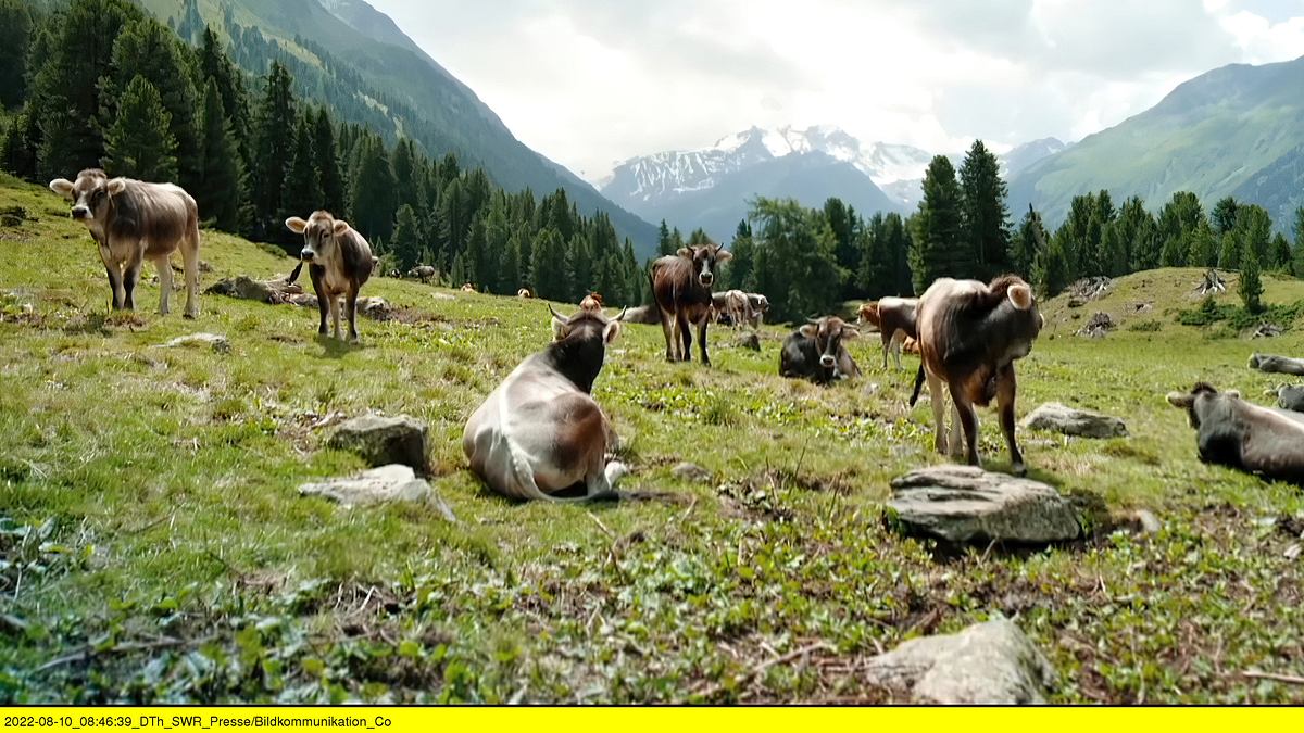 3satthementag: tirol zwischen himmel und erde