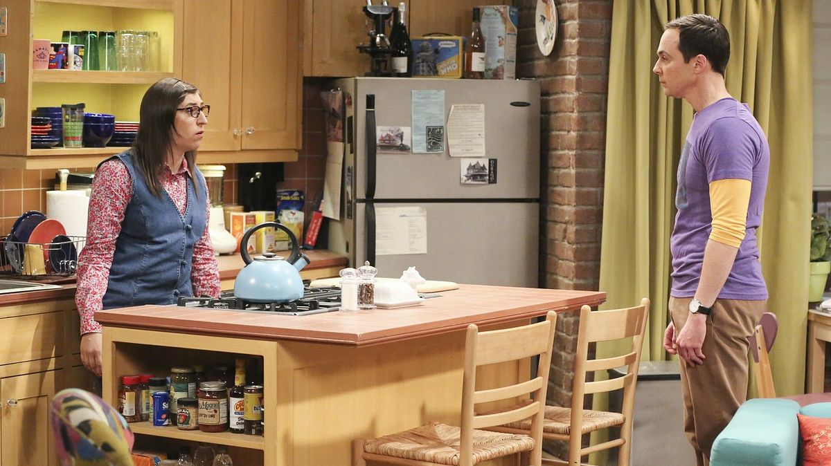 the big bang theory