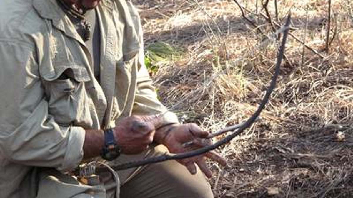 das survival-duo: zwei männer, ein ziel