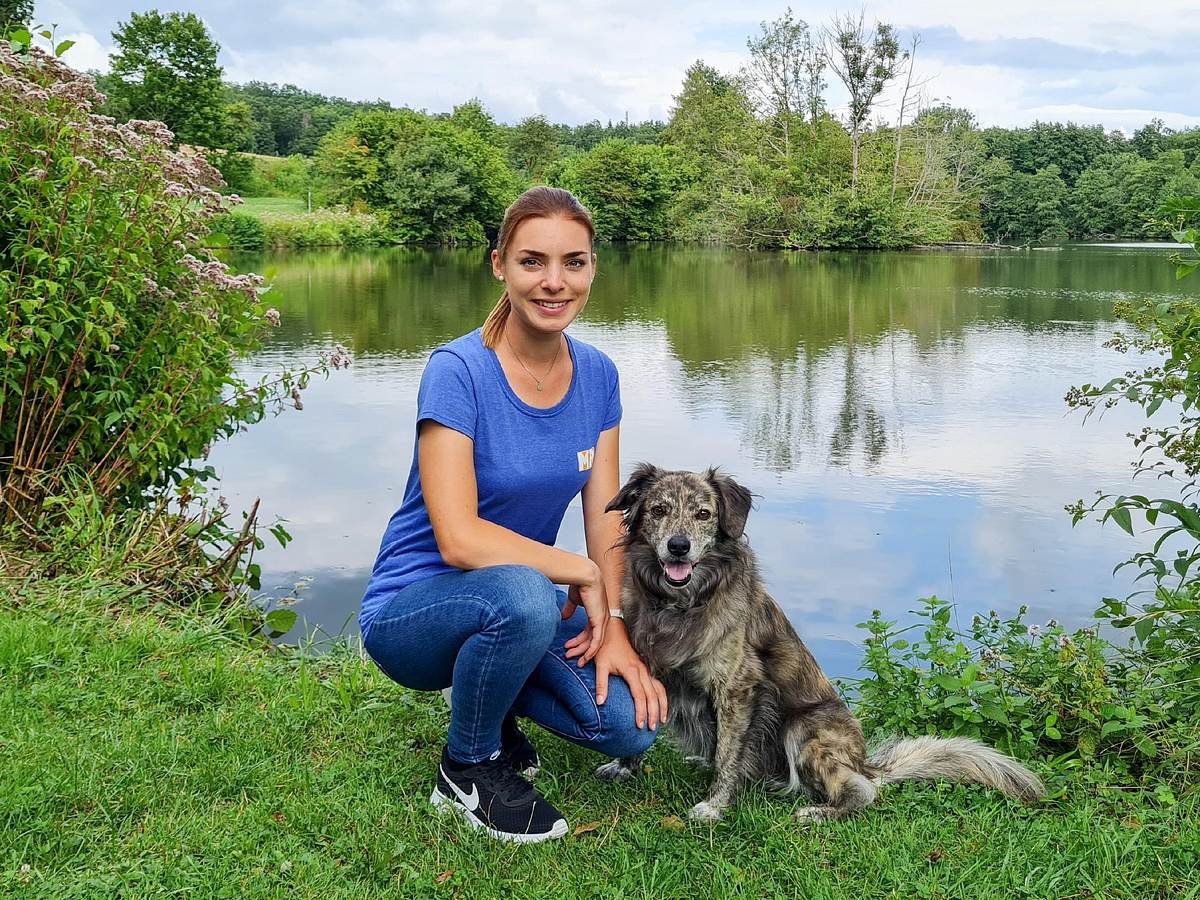 der hundeprofi - rütters team