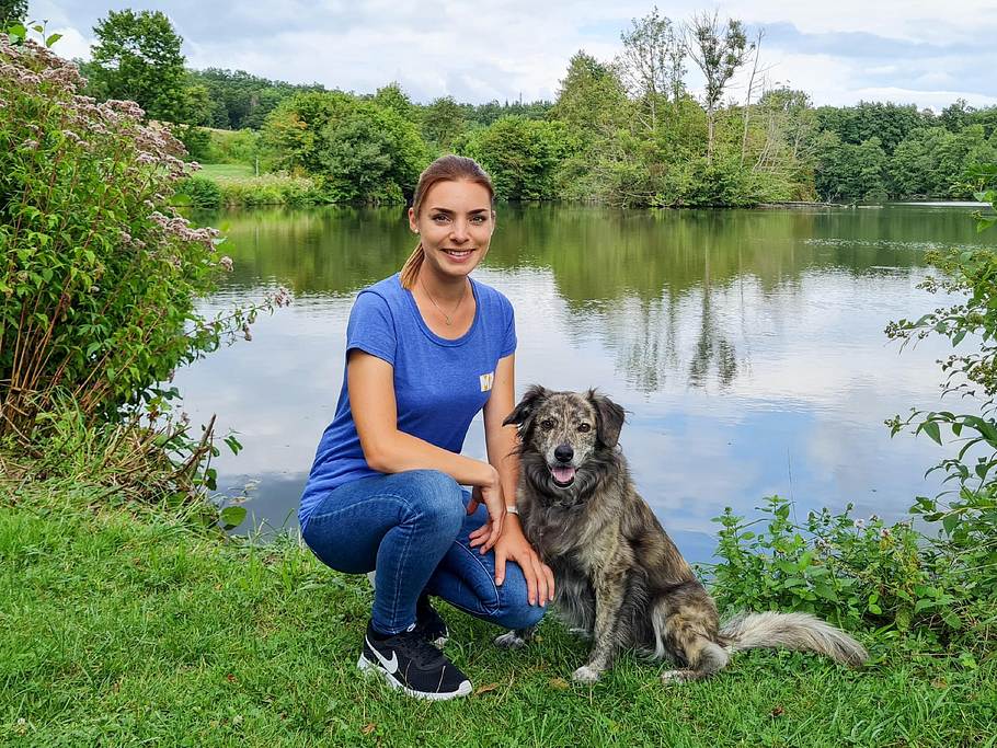 der hundeprofi - rütters team