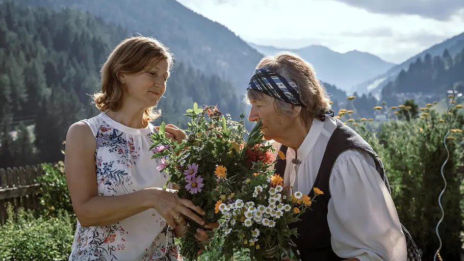 3satThementag: Alpenleben / Land der Berge 3satthementag: alpenleben / land der berge