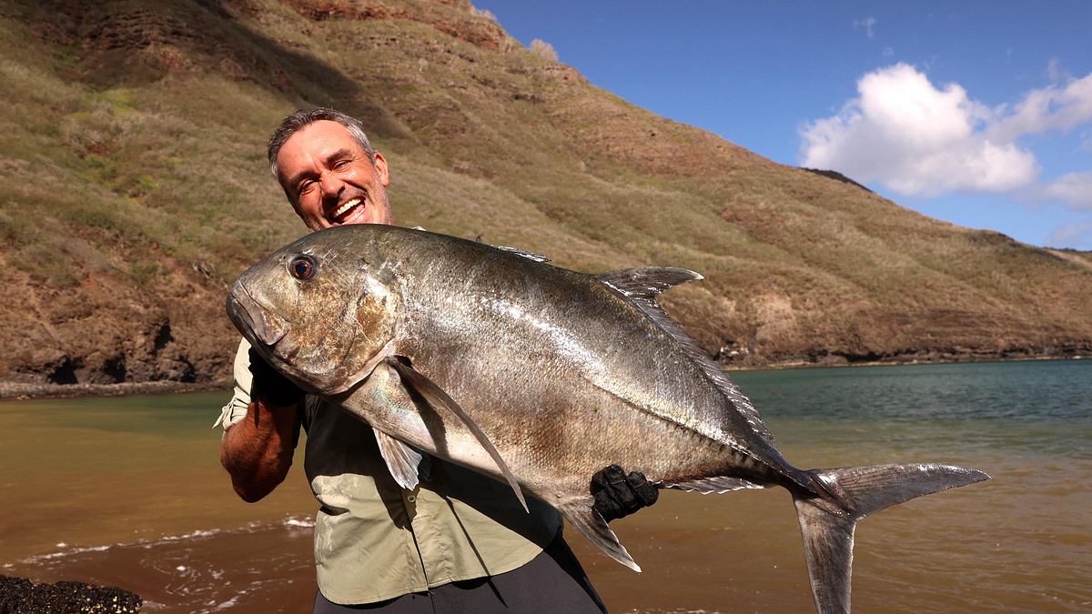 giganten unter wasser - riesenfischen auf der spur
