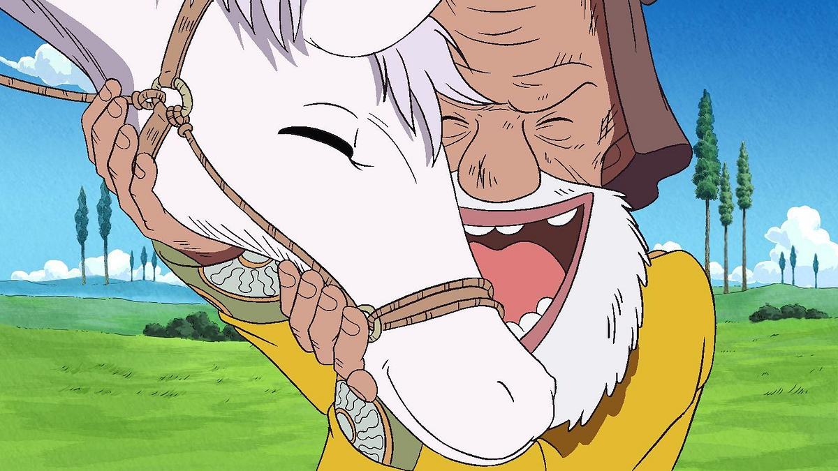 one piece