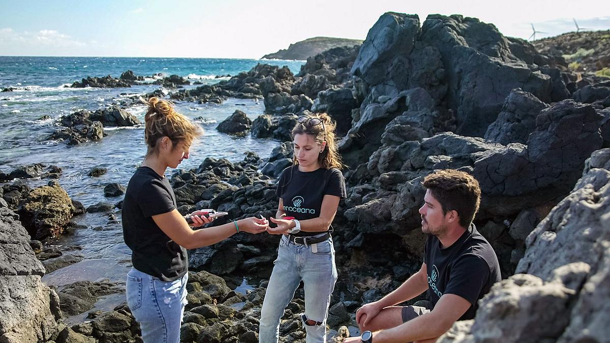 Aus dem Feuer geboren: die Kanaren - Inseln der Glückseligen aus dem feuer geboren: die kanaren - inseln der glückseligen