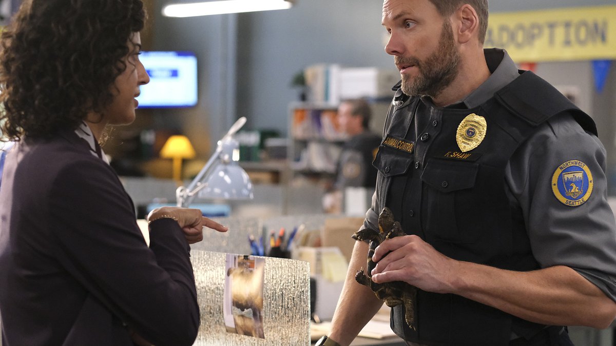 animal control