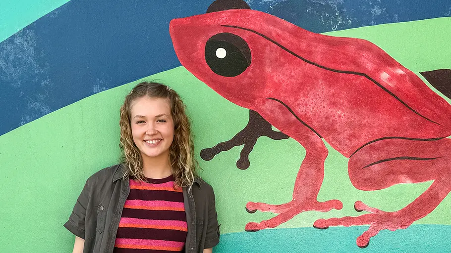 Nina und die wilden Tiere nina und die wilden tiere