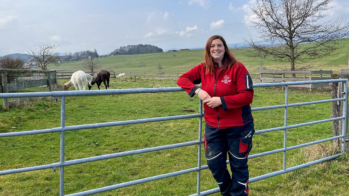 tierische augenblicke