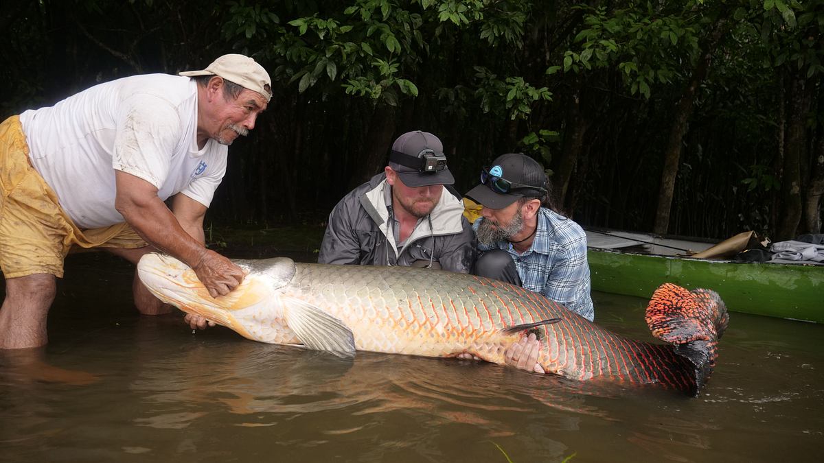 fish or die - angeltrip ins ungewisse