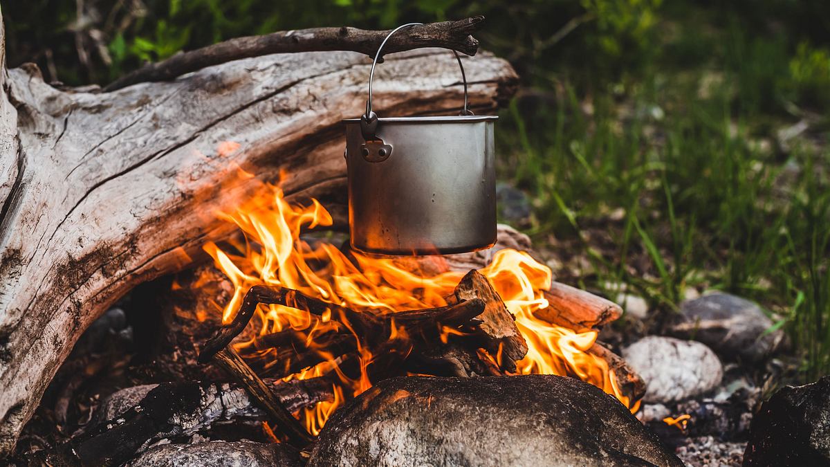 naked survival - ausgezogen in die wildnis