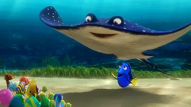 findet dorie - Foto: Media Press / PLURIMEDIA (The Walt Disney Company France / Pixar Animation Studios / Walt Disney Pictures) findet dorie - Foto: Media Press / PLURIMEDIA (The Walt Disney Company France / Pixar Animation Studios / Walt Disney Pictures)