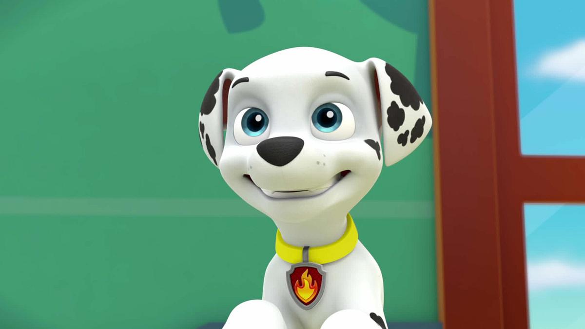 paw patrol - helfer auf vier pfoten