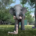 Athleticus Thumbnail