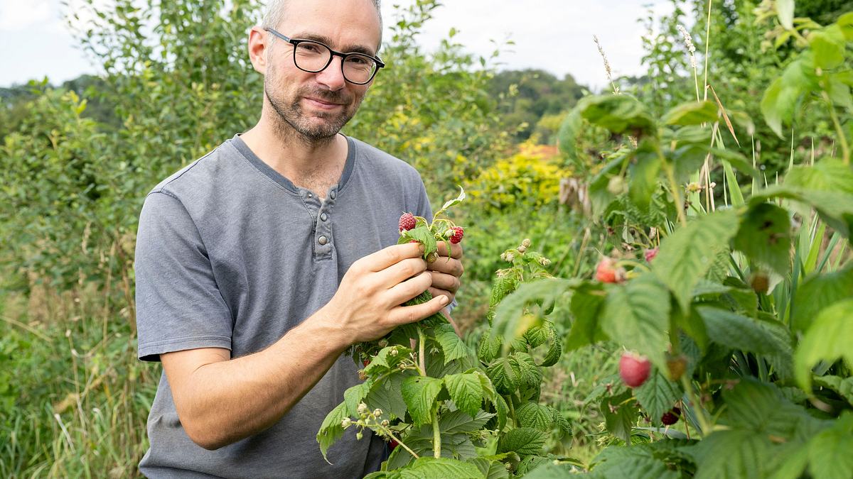 garten und lecker