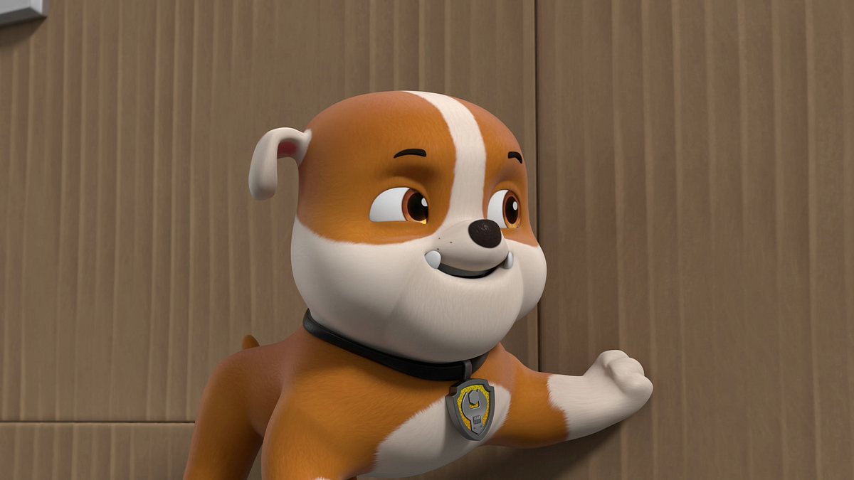 Paw Patrol - Helfer auf vier Pfoten paw patrol - helfer auf vier pfoten