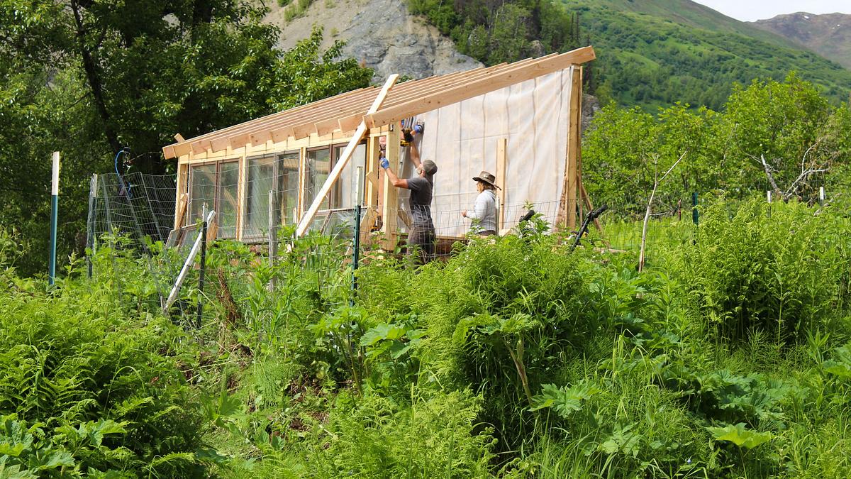 home rescue: eine ranch für die raneys