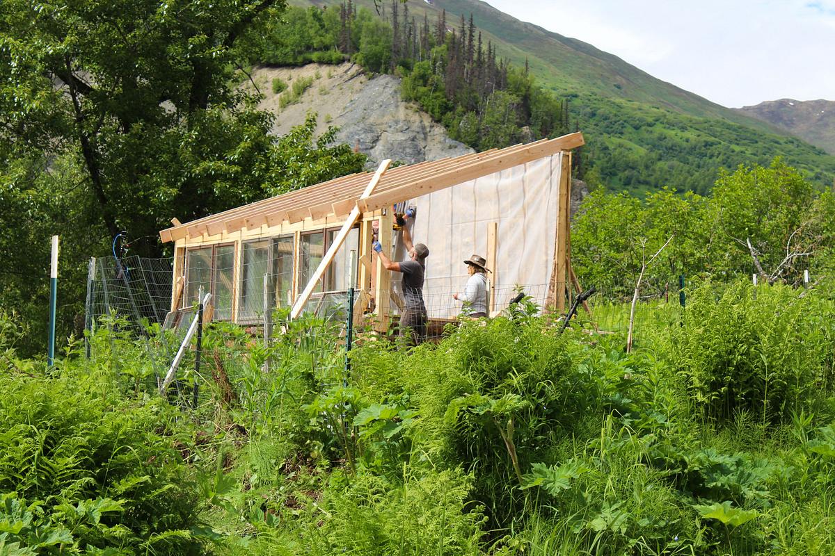 home rescue: eine ranch für die raneys