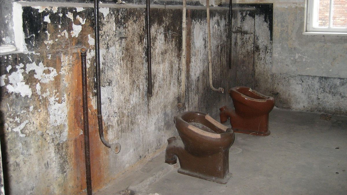 medizinversuche in auschwitz - clauberg und die frauen von block 10