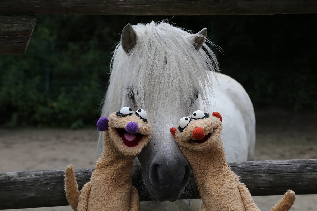 Unser Sandmännchen unser sandmännchen