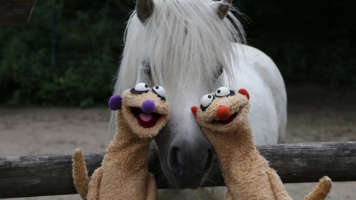 unser sandmännchen
