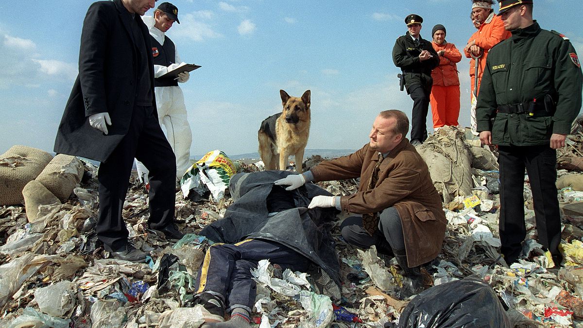 kommissar rex