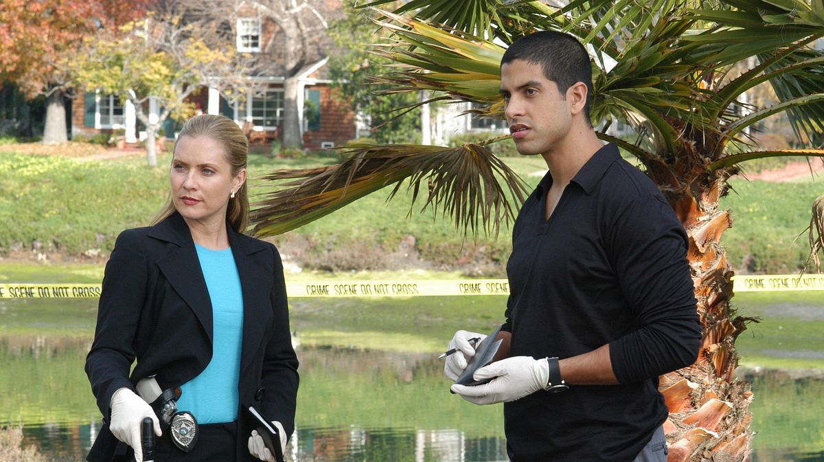 csi: miami