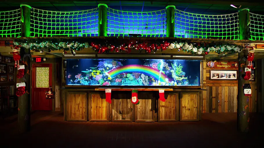 Die Aquarium-Profis die aquarium-profis