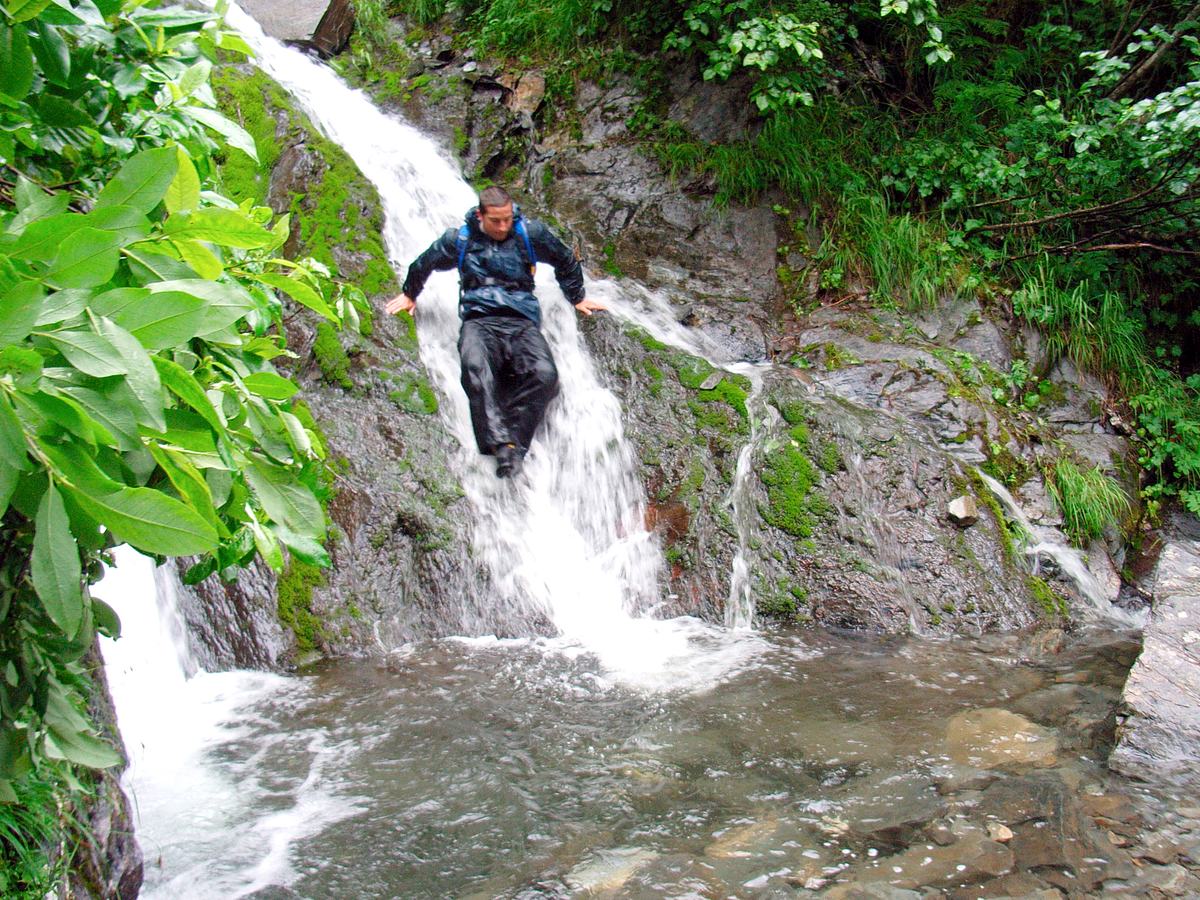 ausgesetzt in der wildnis
