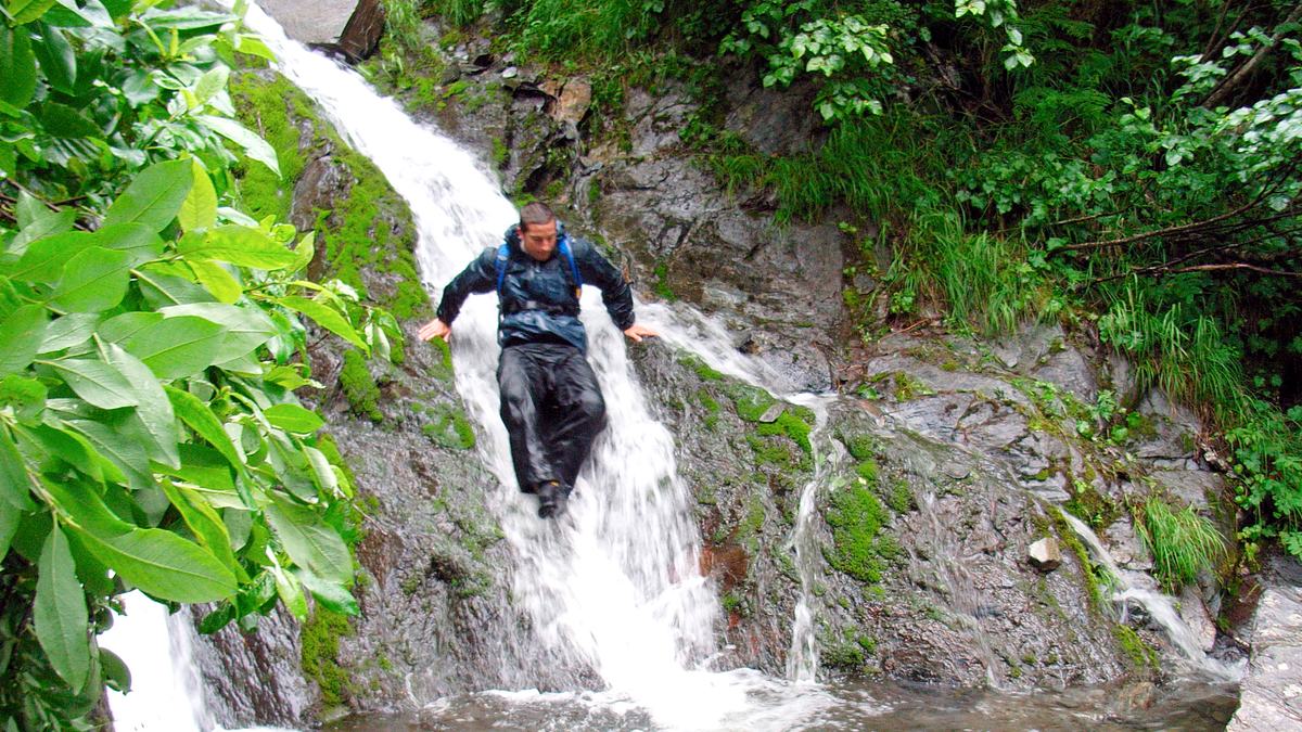 ausgesetzt in der wildnis