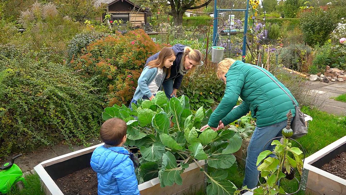 Von Hecke zu Hecke - Bunte Beetgeschichten von hecke zu hecke - bunte beetgeschichten
