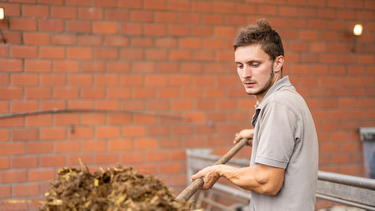 die geschichte der landwirtschaft - von der weide auf den teller