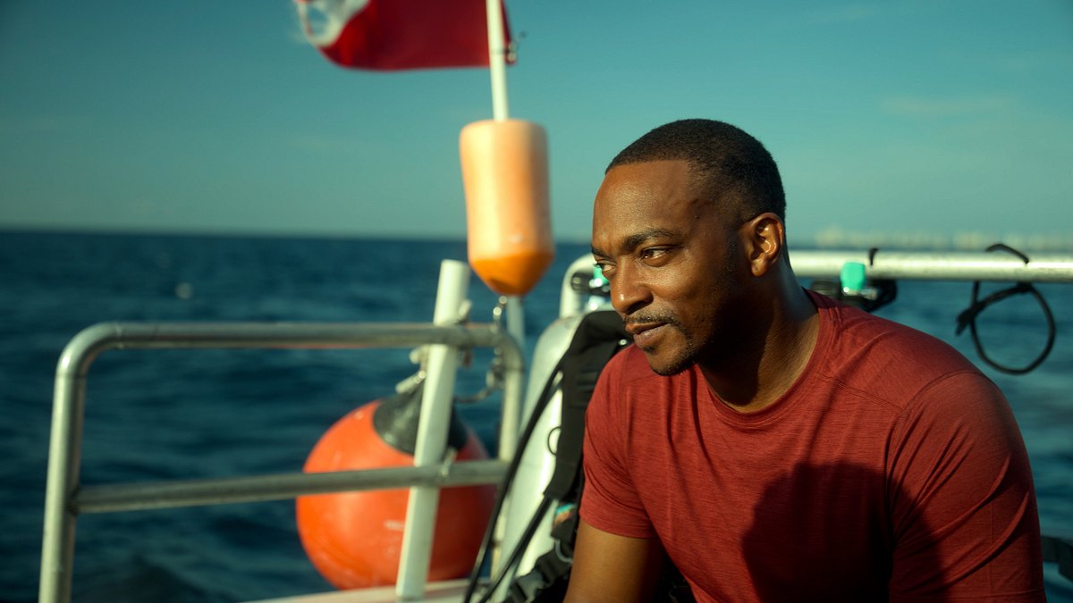 der strand der haie mit anthony mackie: golfküste
