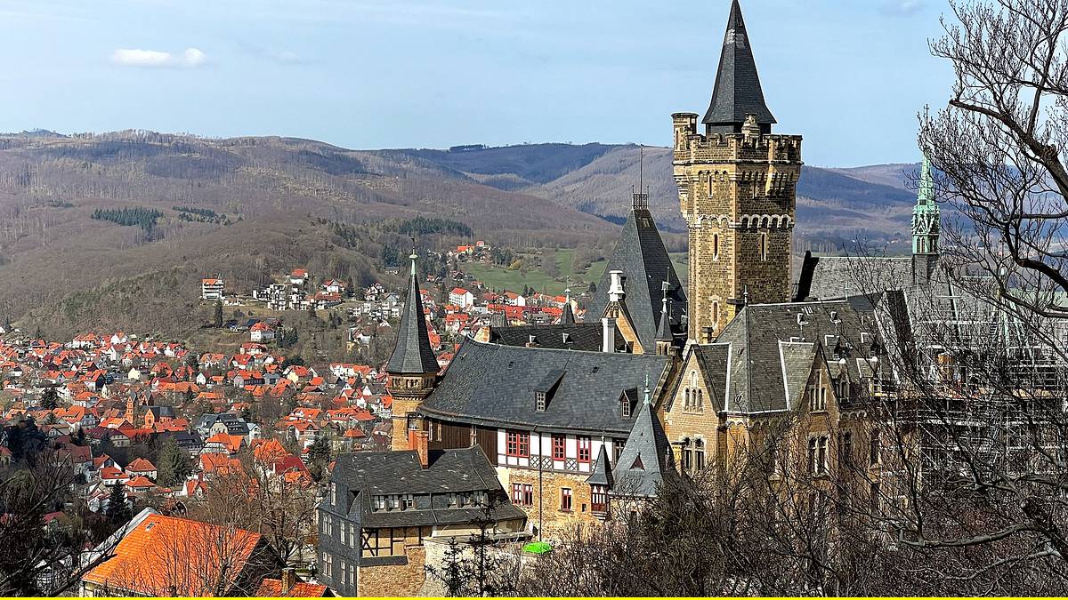 harz, da will ich hin!