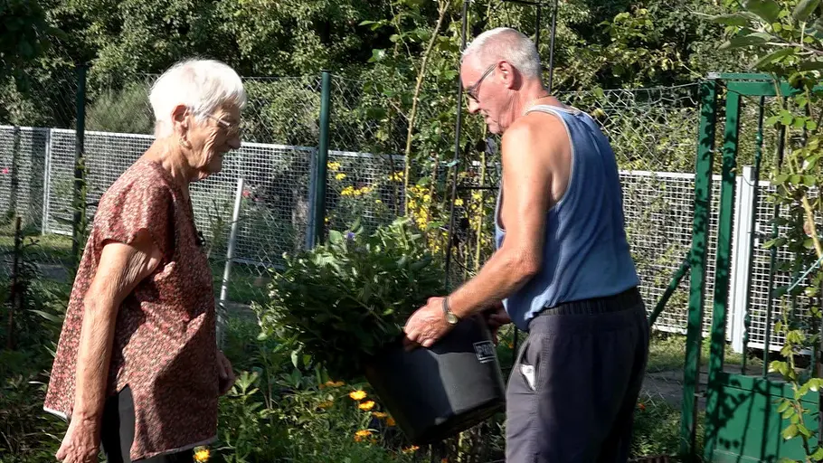 Von Hecke zu Hecke - Bunte Beetgeschichten von hecke zu hecke - bunte beetgeschichten