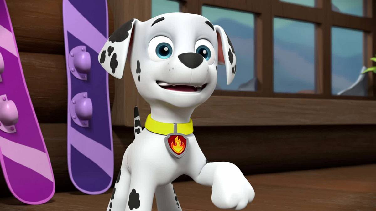 paw patrol - helfer auf vier pfoten