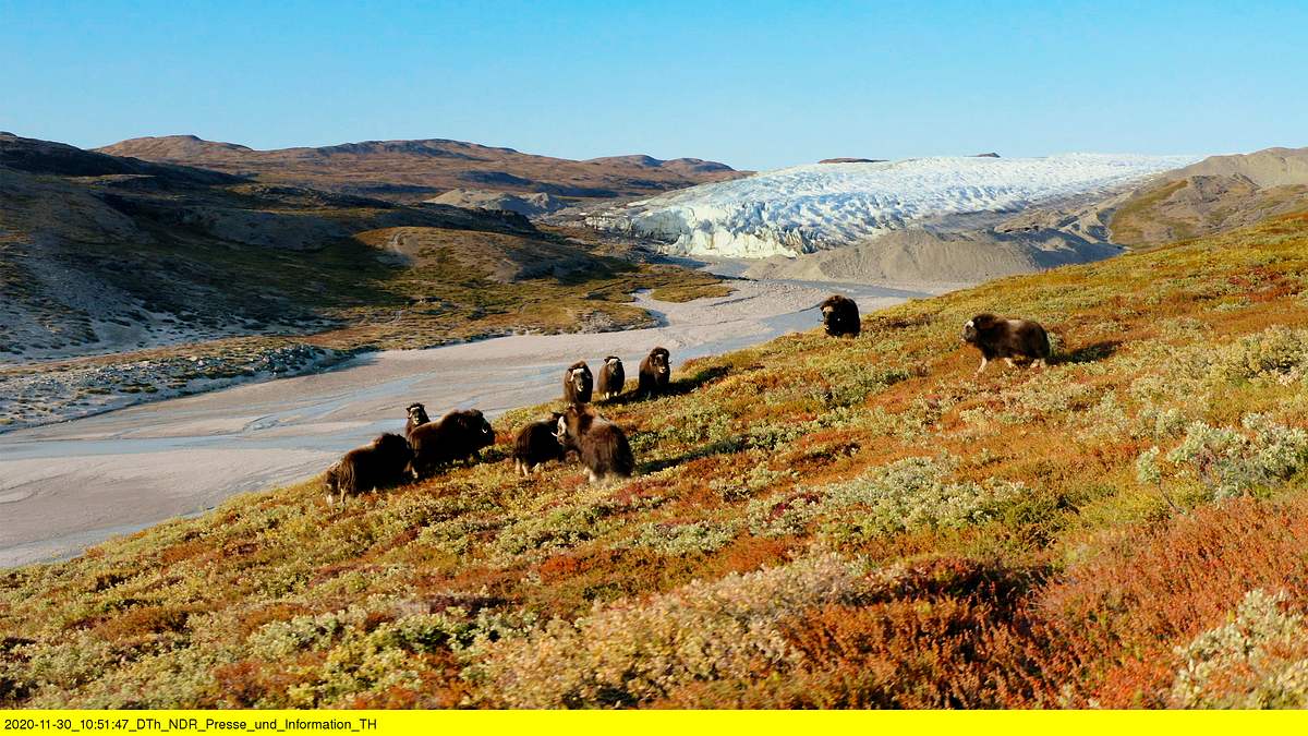 alpha-expedition / länder-menschen-abenteuer