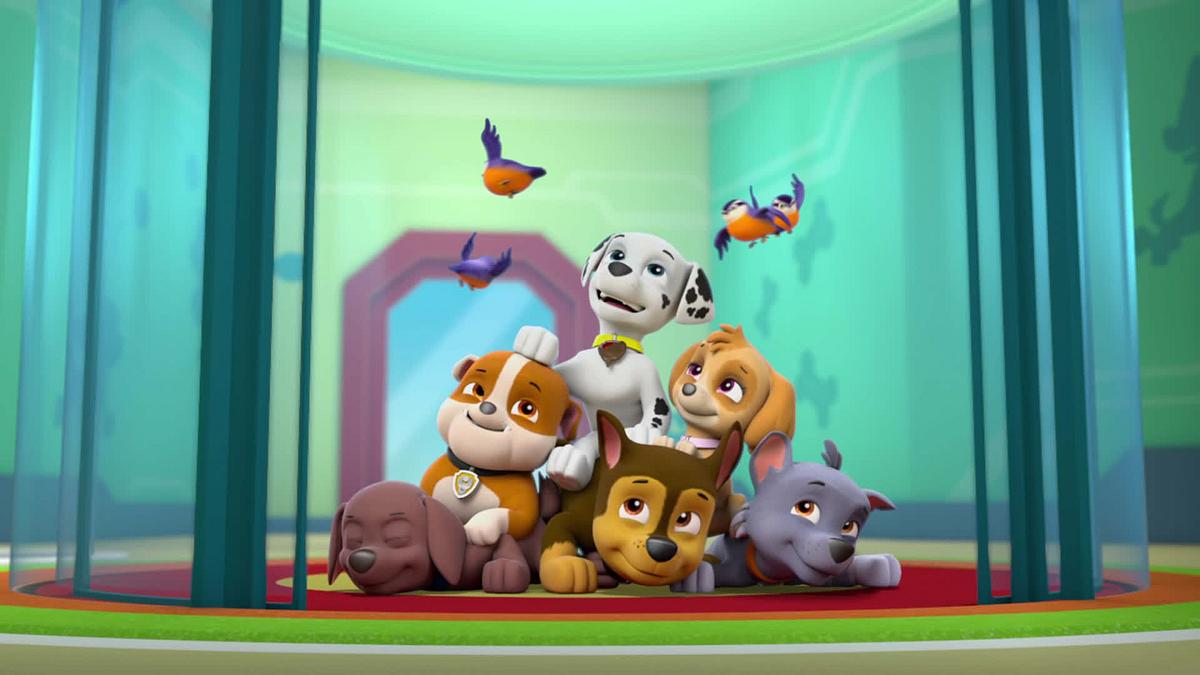 paw patrol - helfer auf vier pfoten