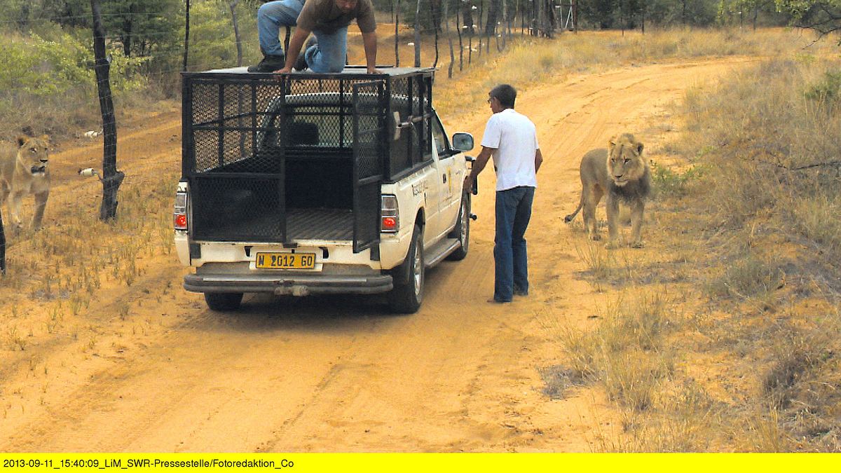 das waisenhaus für wilde tiere - abenteuer afrika