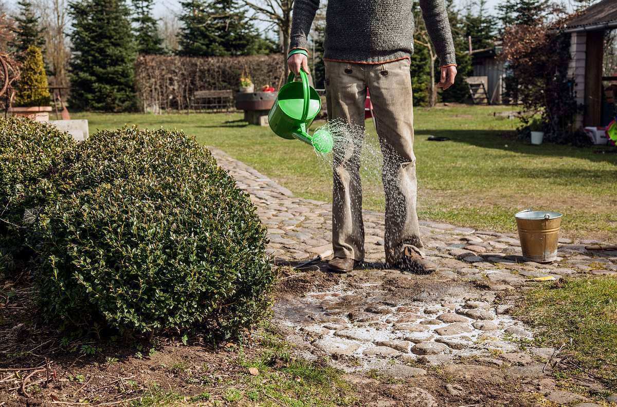 Rasch durch den Garten rasch durch den garten