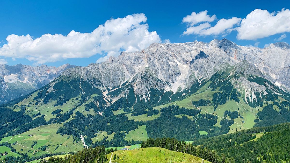 zurück zur natur
