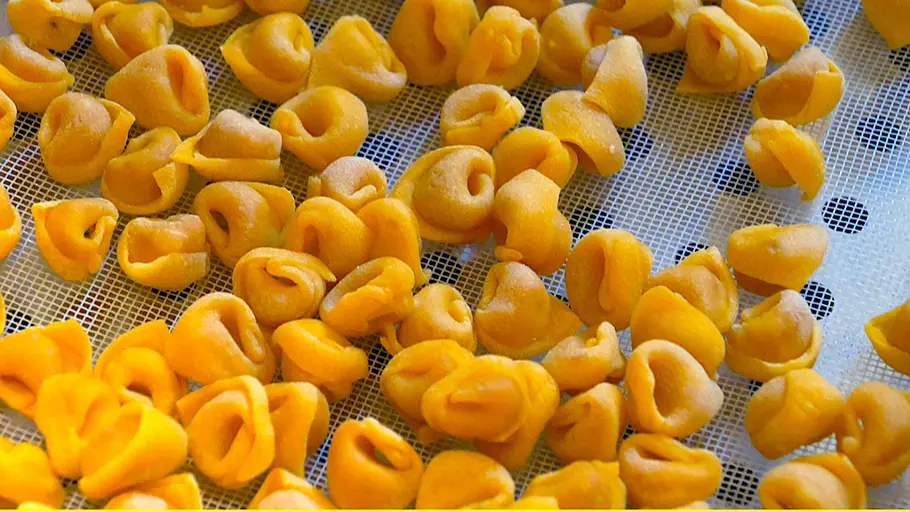 50 gründe