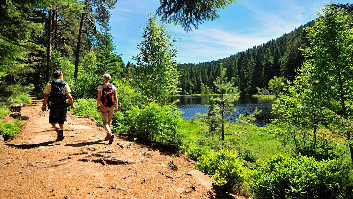 expedition in die heimat
