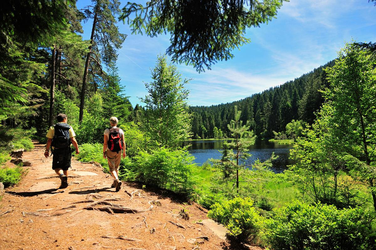 Expedition in die Heimat expedition in die heimat
