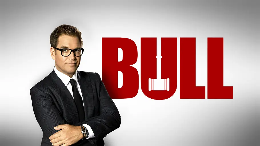 Bull bull
