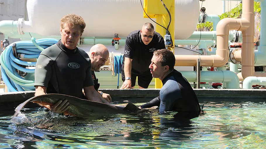 Die Aquarium-Profis die aquarium-profis