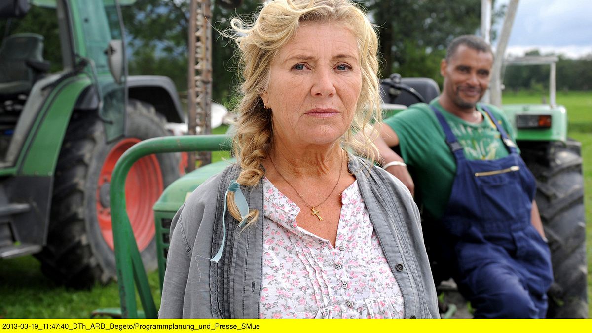 24 milchkühe und kein mann