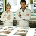 CSI: Miami Thumbnail