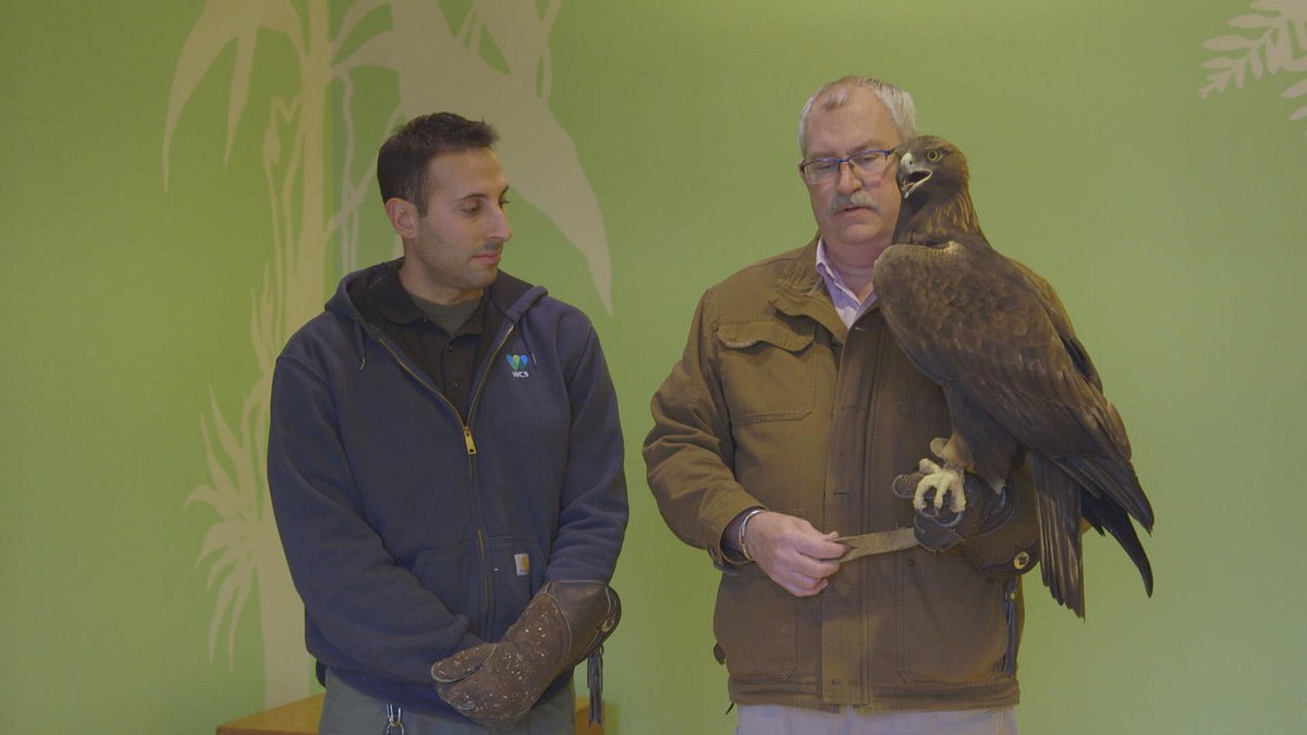 bronx zoo - tierpark der superlative