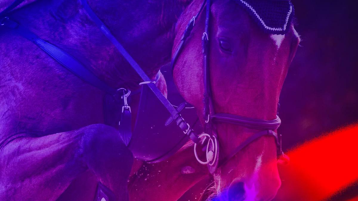 springreiten: league of nations